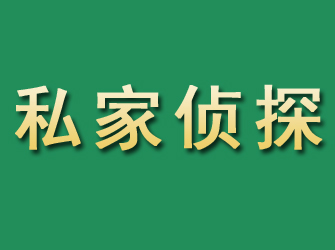 芦山市私家正规侦探