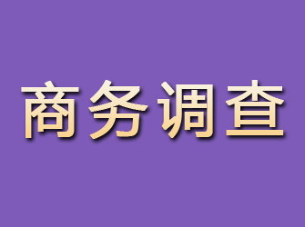 芦山商务调查